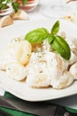 Gnocchi di patata with basilico and cheese sauce Royalty Free Stock Photo