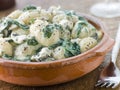 Gnocchi and Spinach with a Gorgonzola Cream Sauce Royalty Free Stock Photo