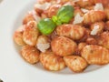 Gnocchi with Tomato Ragu Royalty Free Stock Photo
