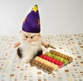 Gnom and macaron sweet confection Royalty Free Stock Photo