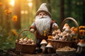 Gnome with a basket of mushrooms collected from the forest in fantasy world