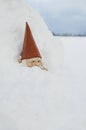 Gnome buried in snow drift on farm