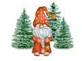 Gnome in Christmas forest with lantern. Gnome in funny red cap with fir trees. Cute holidays gnome for New year greetings card or