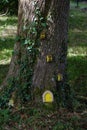 Gnome or elelf house. Door and windows on a tree. Handcraft work with children