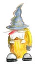 Gnome in hat