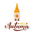 Gnome holding fall maple leaf. Hello Autumn quote lettering. Cute cartoon character. Vector template for banner, poster