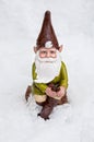 Gnome sitting on log in winter snow