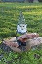 Gnome standing behind huge toadstool mushroom in meadow Royalty Free Stock Photo