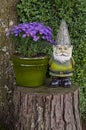 Gnome standing on Tree Stump next to Aster Flowers