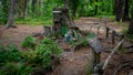 Gnome Trail in the Black Forest at Feldberg.