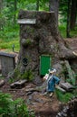 Gnome Trail in the Black Forest at Feldberg.
