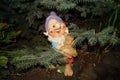 The gnome under the tree