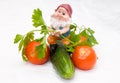 The gnome and vegetables