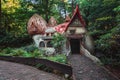 The gnome village with the mushroom houses in the fairytale fore