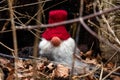 Gnome with white beard sitting amongst leaves and sticks