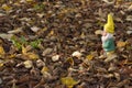 Gnome with yellow pointed hat in Autumn forest.