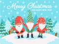 Gnomes christmas characters. Xmas greeting card with cute dwarfs, winter elements and lettering, december holidays