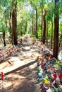 Gnomes on the Forest Path: Gnomesville, Western Australia