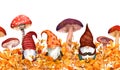 Gnomes with mushrooms in autumn grass. Watercolor seasonal plants, family of scandinavian dwarves. Seamless natural