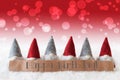 Gnomes, Red Background, Bokeh, Text Happy Birthday Royalty Free Stock Photo