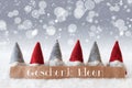 Gnomes, Silver Background, Bokeh, Stars, Geschenk Ideen Means Gift Ideas Royalty Free Stock Photo