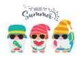 Gnomes Summer. Gnomes wear hats and sunglasses for summer trips to the beach