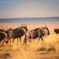 gnu antelopes, AI generated Royalty Free Stock Photo