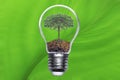 Go green concept tree bulb energy Royalty Free Stock Photo