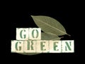 Go green with leaves Royalty Free Stock Photo