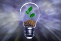 Go green save energy concept plants world