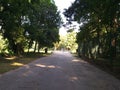 A Go Green  scenario  and Garden  from Shantiniketan Bolpur Royalty Free Stock Photo