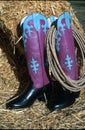 Go to town boots! Royalty Free Stock Photo