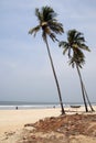 Goa Beaches Colva Royalty Free Stock Photo