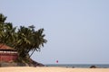 GOA India Beach, beautiful with palm trees Royalty Free Stock Photo