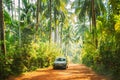 Goa, India. Car Moving On Road Surrounded By Palm Trees In Sunny Day Royalty Free Stock Photo