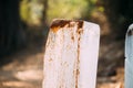 Goa, India. Close Up Pieces Of Ice Standing On Sand