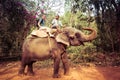 Goa, India - December 20, 2018: Tourist riding an Indian elephant. Bhagavan Mahavir Reserve