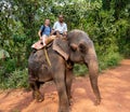 Goa, India - December 20, 2018: Tourist riding an Indian elephant. Bhagavan Mahavir Reserve