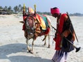 Indian man with holy indian cow decorated with colorful cloth and jewelry on the beach of South Goa