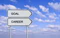 Goal and career