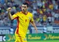 Goal celebration of Romanian Footbal Player Ciprian Marica Royalty Free Stock Photo