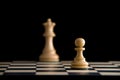 Goal. Chess. Focus on pawn