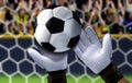 Goal keeper saving a ball with spectator in background Royalty Free Stock Photo