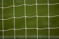 Goal net