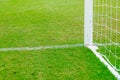 Goal net with green grass field