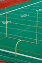 Goal Post