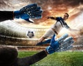 Goalkeeper catches the ball in the stadium Royalty Free Stock Photo