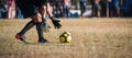 goalkeeper is catching the ball on the football field