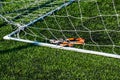 Goalkeeper gloves are on the grass near the football goal Royalty Free Stock Photo