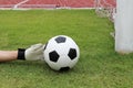 Goalkeeper's hands reaching ball